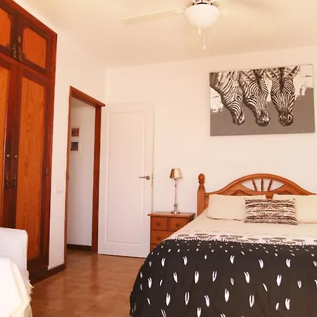 Apartment Spacious Light And Comfortable